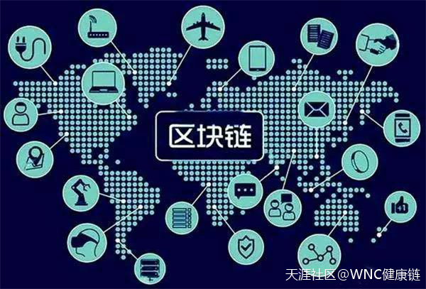 Wellness chain 项目的研究报告