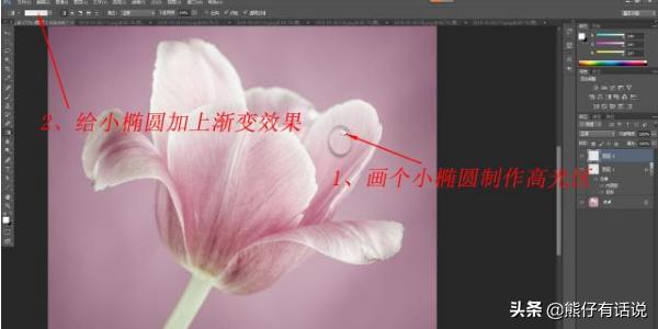 用Photoshop制作水珠效果？