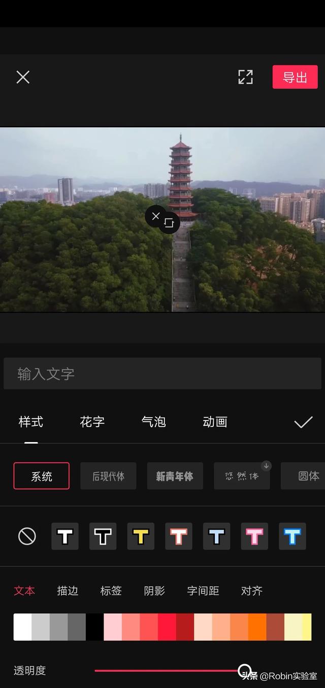 怎么在视频中加文字？