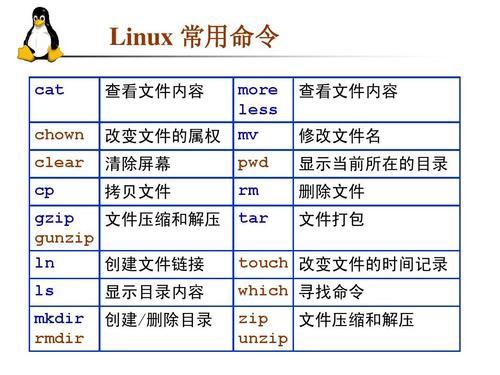 你最常用的一个linux命令是什么？为什么？