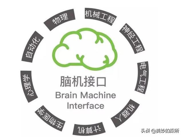 用成为AI来对抗AI，马斯克的野心究竟有多大？