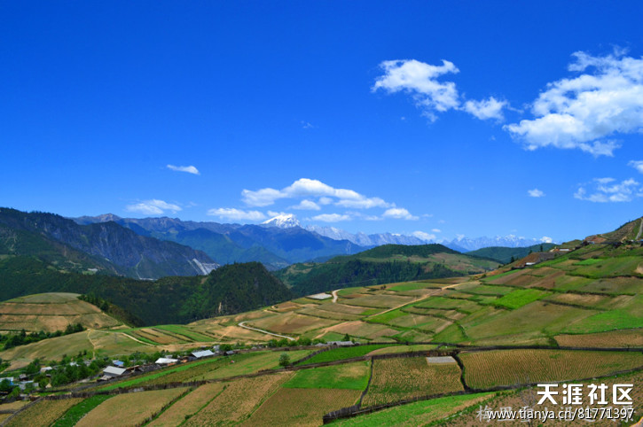 深圳出发深圳回收门型展架，7月27日去云南约伴旅游